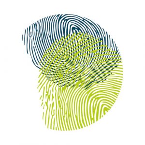 logo_uni-wup
